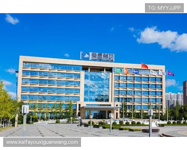 掌握K8凯发集团会员注册的详细流程与注意事项